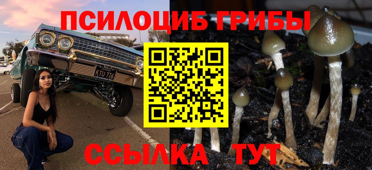 Галлюциногенные грибы мицелий  закладка  Лесной  Вход с VPN 