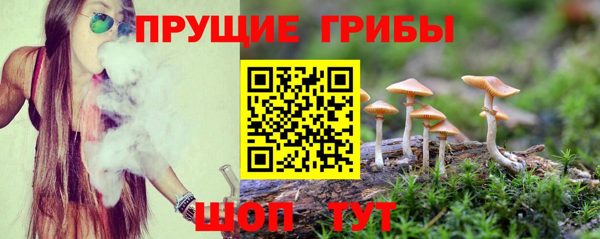 Галлюциногенные грибы Psilocybe Лесной